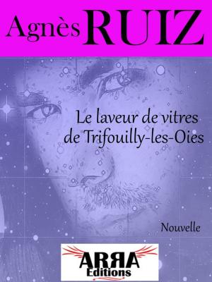 Cover of the book Le laveur de vitres de Trifouilly-les-oies by Agnes Ruiz