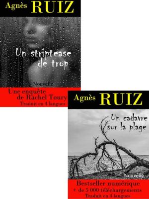 Cover of the book Les enquêtes de Rachel Toury, volume 2 by Édgar Adrián Mora