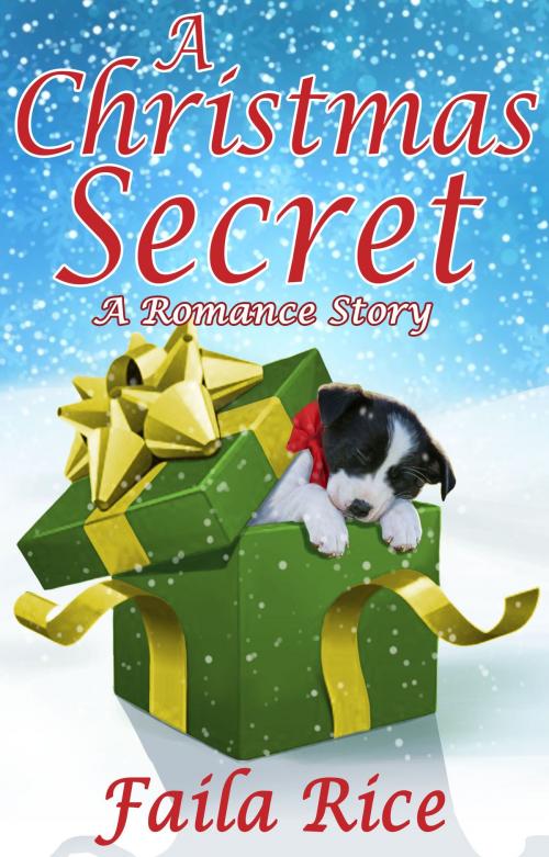 Cover of the book A Christmas Secret by Faila Rice, Annie Acorn Publishing LLC