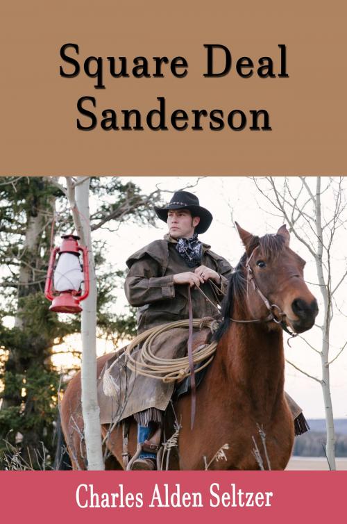 Cover of the book Square Deal Sanderson by Charles Alden Seltzer, Steve Gabany