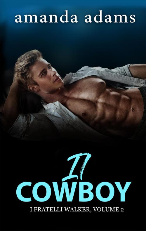 Cover of the book Il cowboy by Amanda Adams, Tydbyts Media