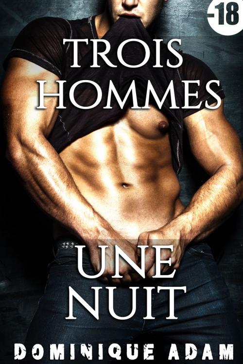 Cover of the book Trois Hommes, Une Nuit by Dominique Adam, Dominique Adam