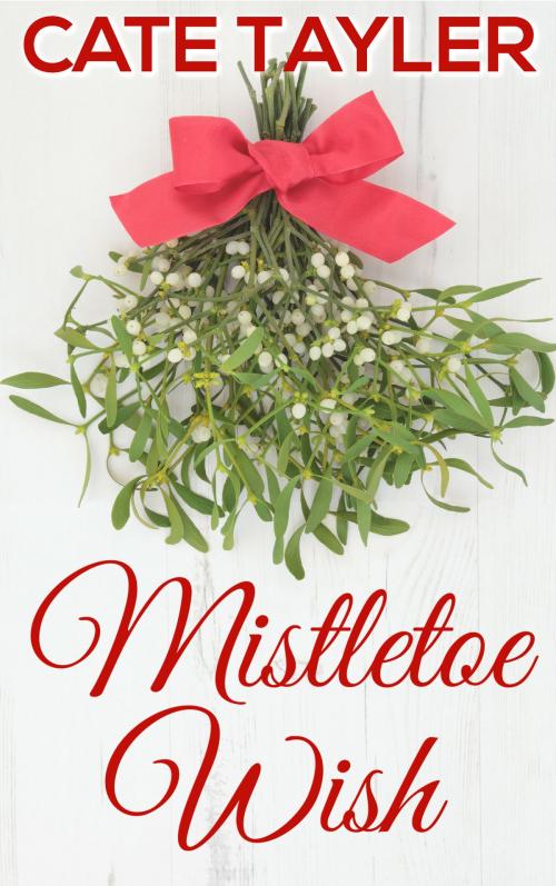Cover of the book Mistletoe Wish by Cate Tayler, Elephant Shoes Press