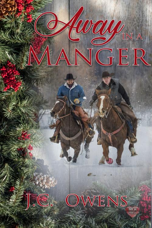 Cover of the book Away in a Manger by J.C. Owens, MLR Press