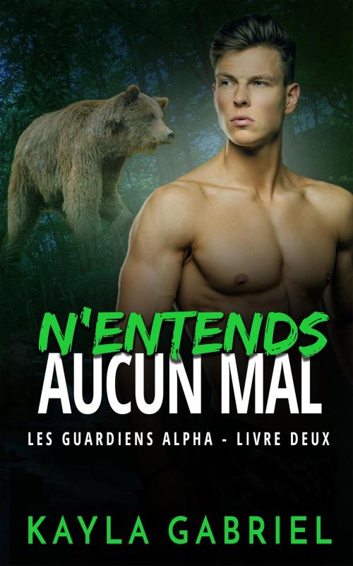 Cover of the book N'entends aucun mal by Kayla Gabriel, KSA Publishers