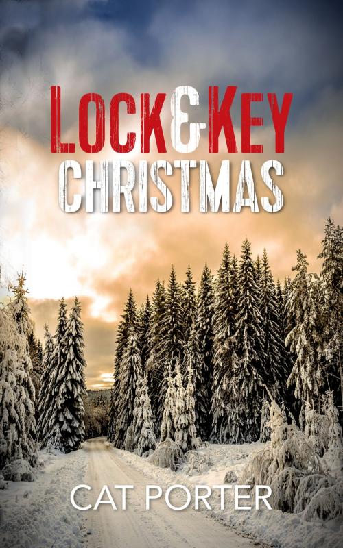 Cover of the book Lock & Key Christmas by Cat Porter, Wildflower Ink, LLC