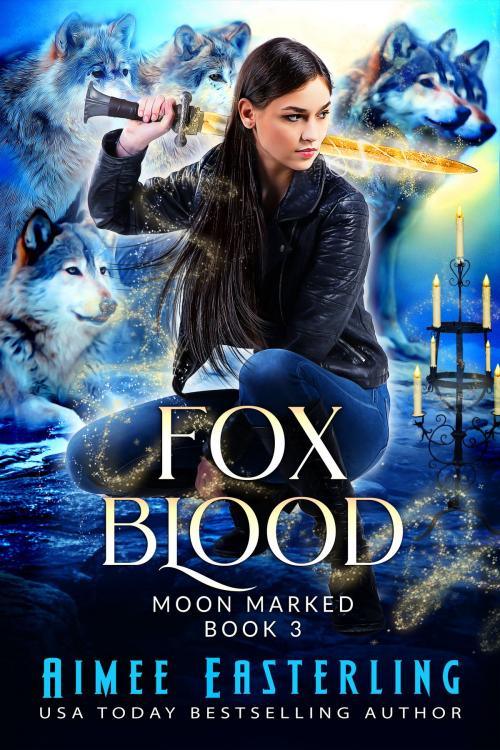 Cover of the book Fox Blood by Aimee Easterling, Wetknee Books