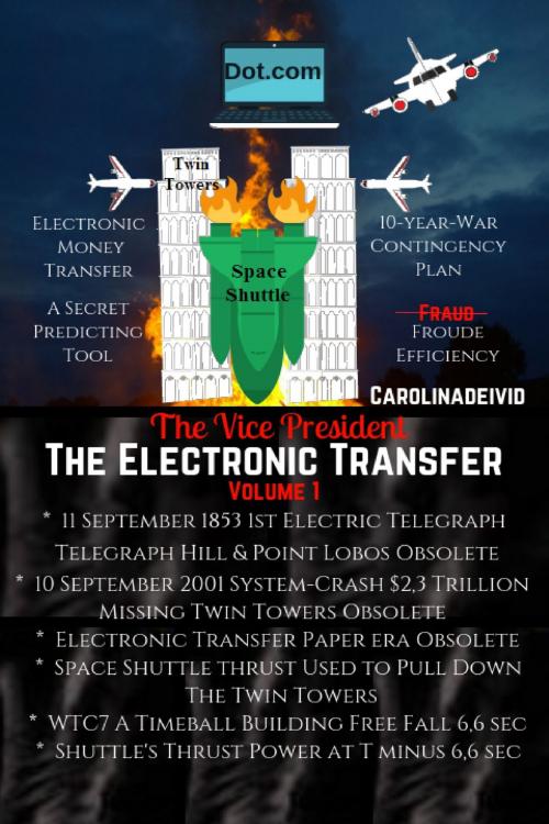 Cover of the book The Vice President The Electronic Transfer by Carolinadeivid, Touchladybirdlucky Studios