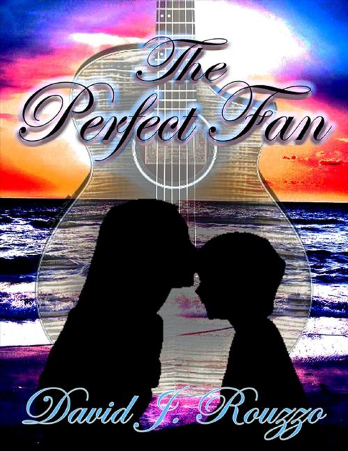 Cover of the book The Perfect Fan by David J. Rouzzo, Lulu.com