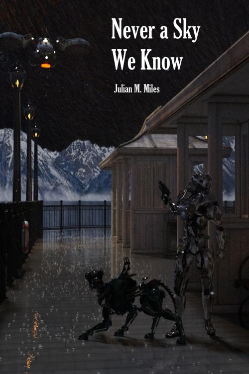 Cover of the book Never a Sky We Know by Julian M. Miles, Julian M. Miles
