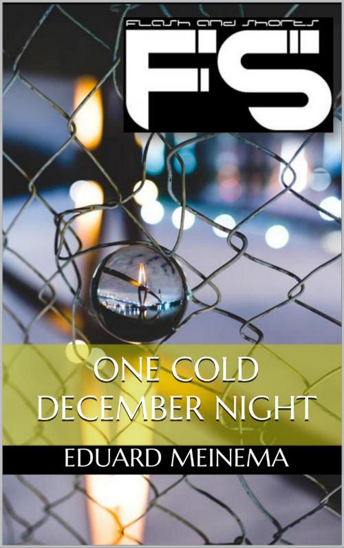 Cover of the book One Cold December Night by Eduard Meinema, Eduard Meinema