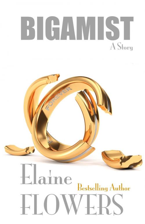 Cover of the book Bigamist: A Story by Elaine Flowers, Elaine Flowers