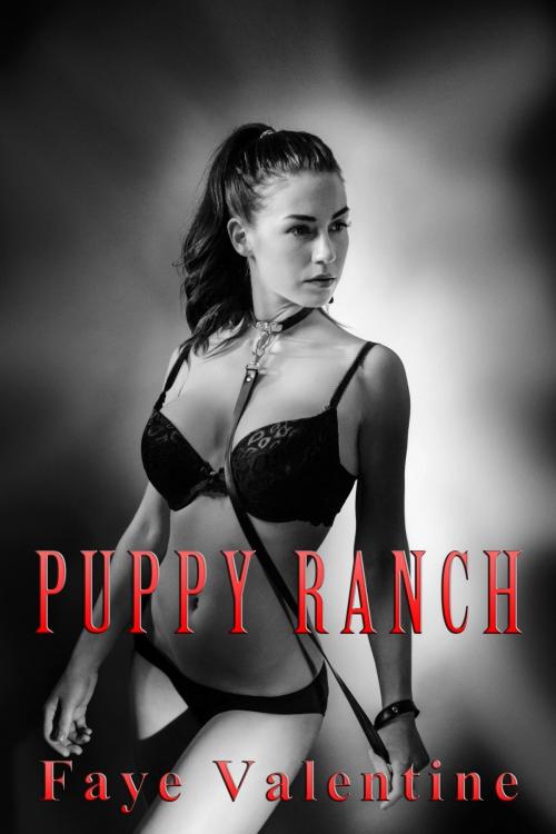 Cover of the book Puppy Ranch by Faye Valentine, Faye Valentine