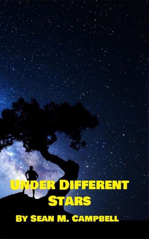 Cover of the book Under Different Stars by Sean M. Campbell, Sean M. Campbell