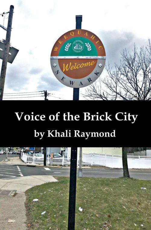 Cover of the book Voice of the Brick City by Khali Raymond, Khali Raymond