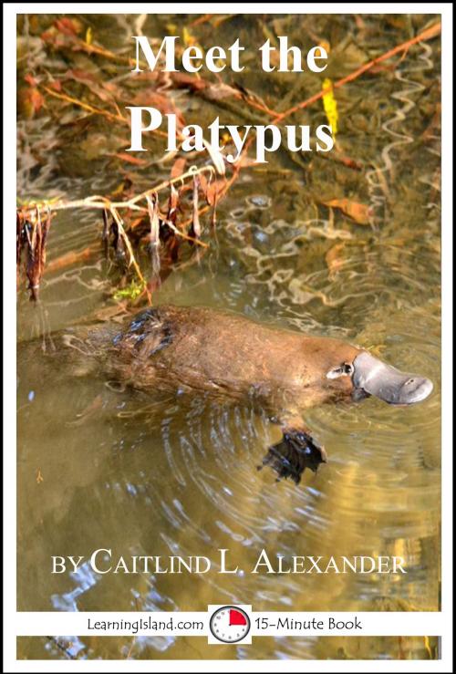 Cover of the book Meet the Platypus by Caitlind L. Alexander, LearningIsland.com