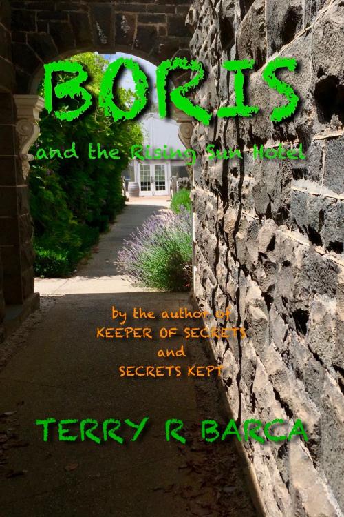 Cover of the book Boris and the Rising Sun Hotel by Terry R Barca, Terry R Barca