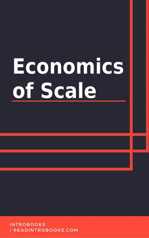 Cover of the book Economics of Scale by IntroBooks, IntroBooks