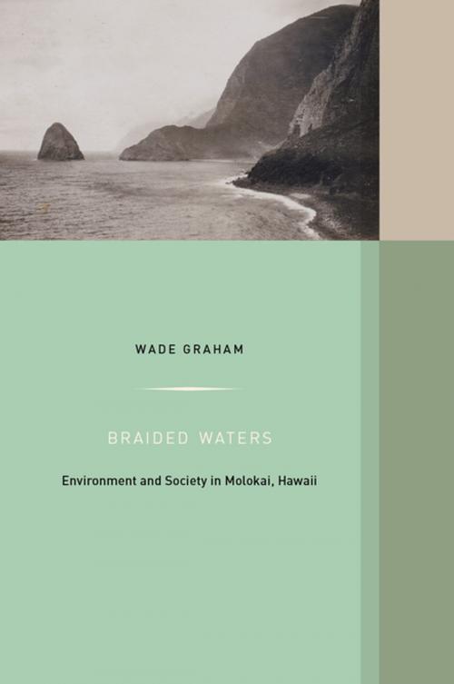 Cover of the book Braided Waters by Wade Graham, University of California Press