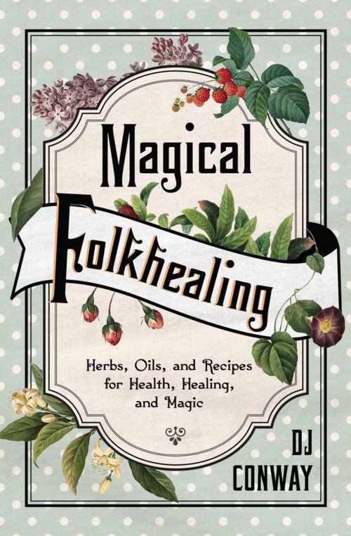 Cover of the book Magical Folkhealing by D.J. Conway, Llewellyn Worldwide, LTD.