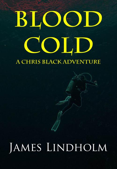 Cover of the book Blood Cold: A Chris Black Adventure by James Lindholm, SynergEbooks