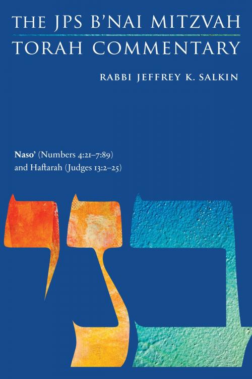 Cover of the book Naso' (Numbers 4:21-7:89) and Haftarah (Judges 13:2-25) by Rabbi Jeffrey K. Salkin, The Jewish Publication Society