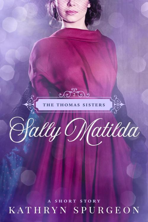Cover of the book Sally Matilda by Kathryn Spurgeon, Memory House Publishing, LLC