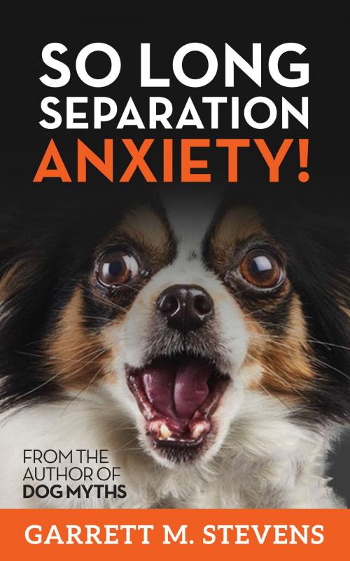 Cover of the book So Long Separation Anxiety by Garrett Stevens, Garrett Stevens