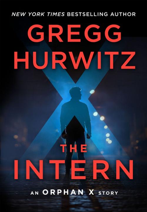 Cover of the book The Intern by Gregg Hurwitz, St. Martin's Publishing Group