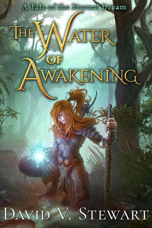 Cover of the book The Water of Awakening by David V. Stewart, David V. Stewart