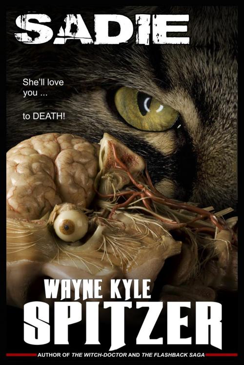 Cover of the book Sadie by Wayne Kyle Spitzer, Hobb's End Books