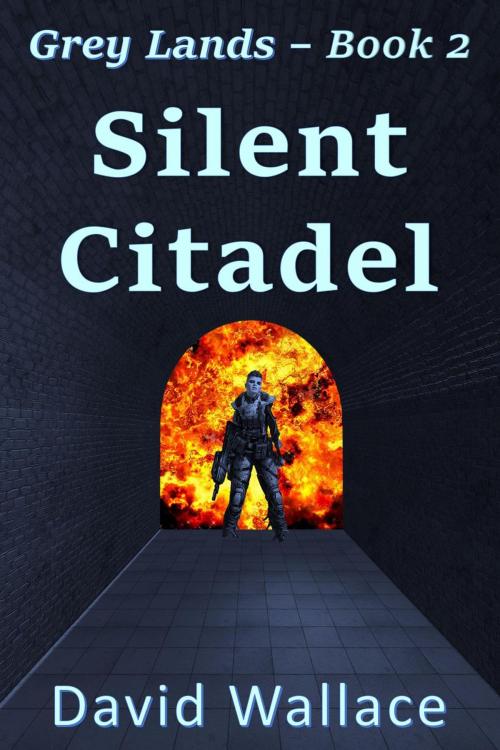 Cover of the book Silent Citadel by David Wallace, Bookie-Wookie Press