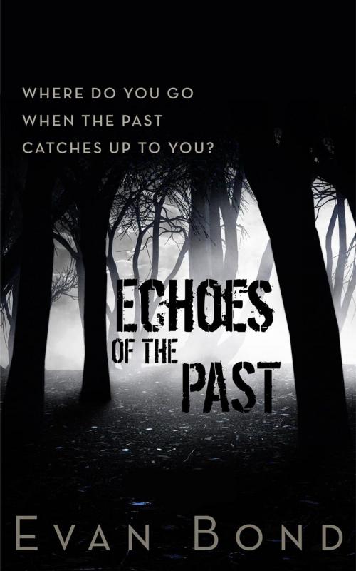 Cover of the book Echoes of the Past by Evan Bond, Evan Bond