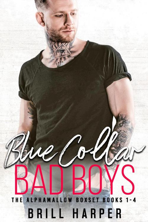 Cover of the book Blue Collar Bad Boys: Books 1-4 by Brill Harper, Brill Harper