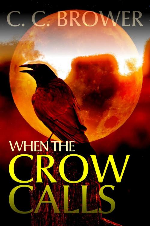Cover of the book When the Crow Calls by C. C. Brower, Living Sensical Press