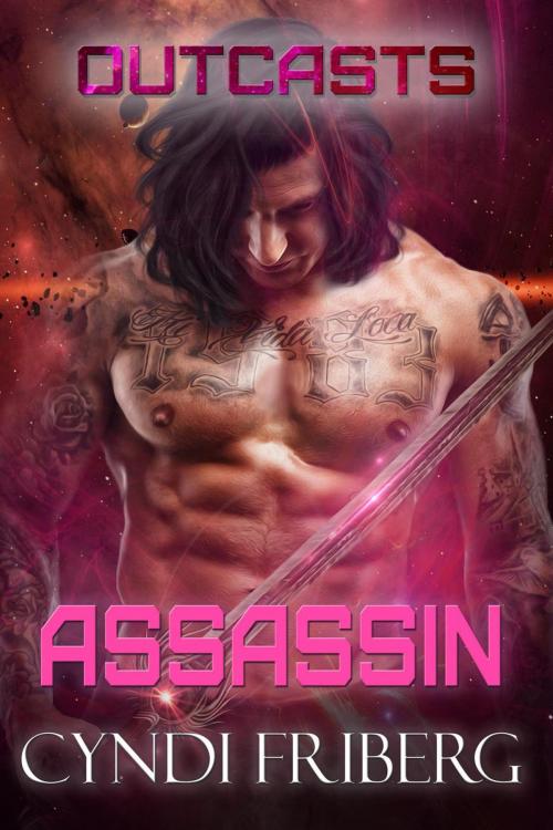 Cover of the book Assassin by Cyndi Friberg, Anything-but-Ordinary Books