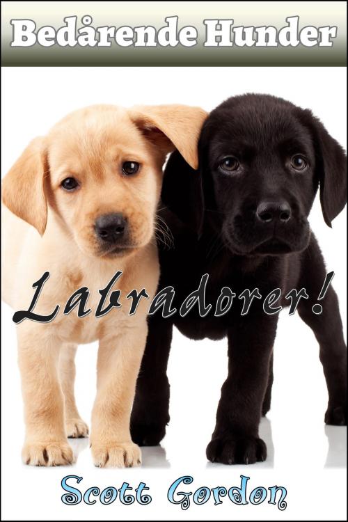 Cover of the book Bedårende Hunder: Labradorer by Scott Gordon, S.E. Gordon