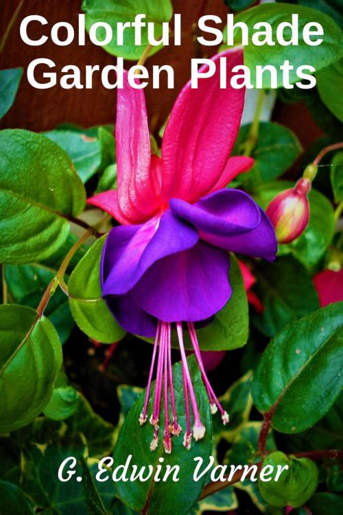 Cover of the book Colorful Shade Garden Plants by G. Edwin Varner, Green Thumb Publications
