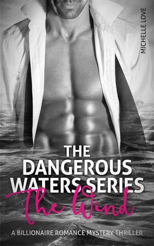 Cover of the book Dangerous Waters by Michelle Love, Best seller Author