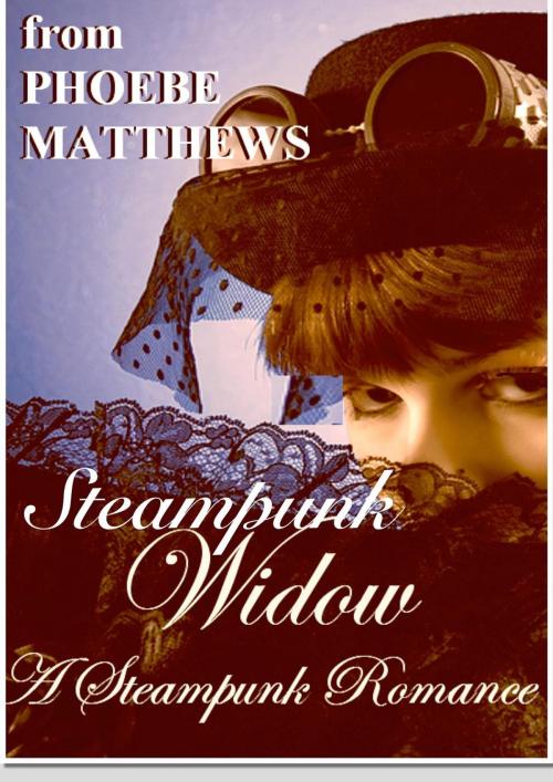 Cover of the book Steampunk Widow by Phoebe Matthews, LostLoves Books