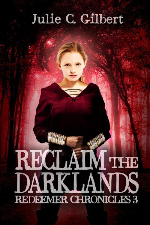 Cover of the book Reclaim the Darklands by Julie C. Gilbert, Julie C. Gilbert