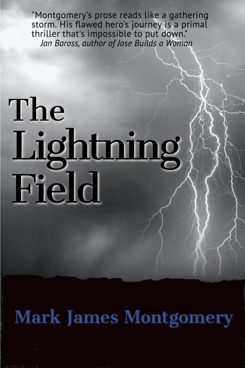 Cover of the book The Lightning Field by Mark James Montgomery, Stonehouse