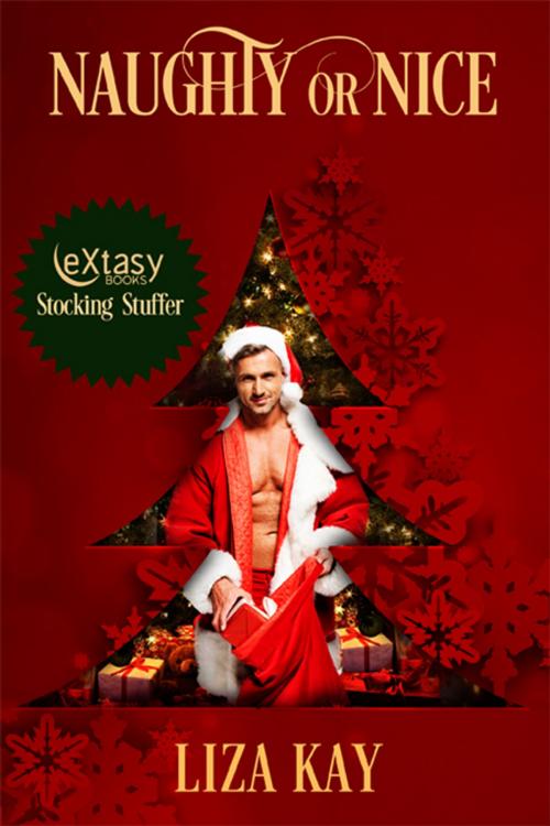 Cover of the book Naughty or Nice by Liza Kay, eXtasy Books Inc