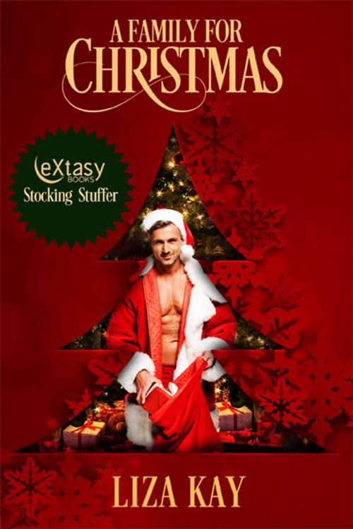 Cover of the book A Family for Christmas by Liza Kay, eXtasy Books Inc
