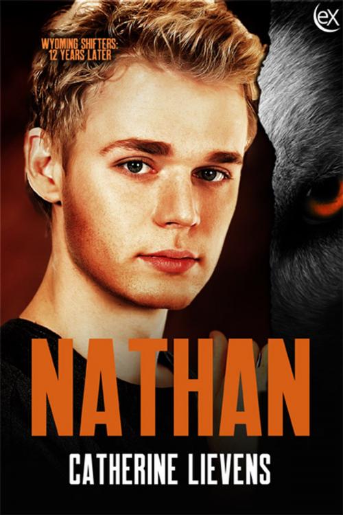 Cover of the book Nathan by Catherine Lievens, eXtasy Books Inc
