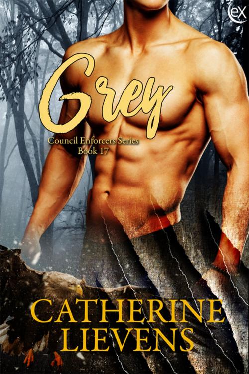 Cover of the book Grey by Catherine Lievens, eXtasy Books Inc