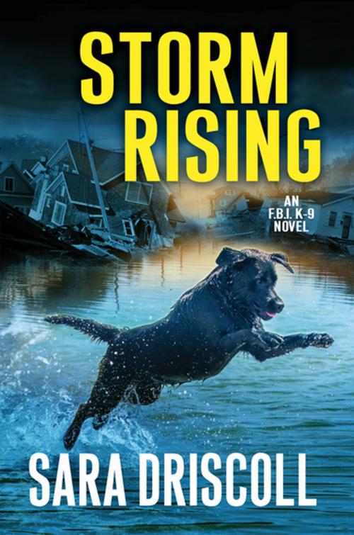 Cover of the book Storm Rising by Sara Driscoll, Kensington Books