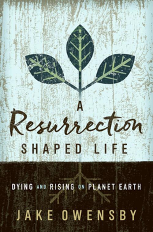 Cover of the book A Resurrection Shaped Life by Jake Owensby, Abingdon Press