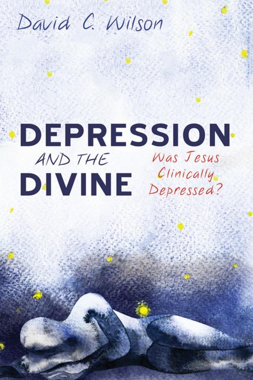 Cover of the book Depression and the Divine by David C. Wilson, Wipf and Stock Publishers