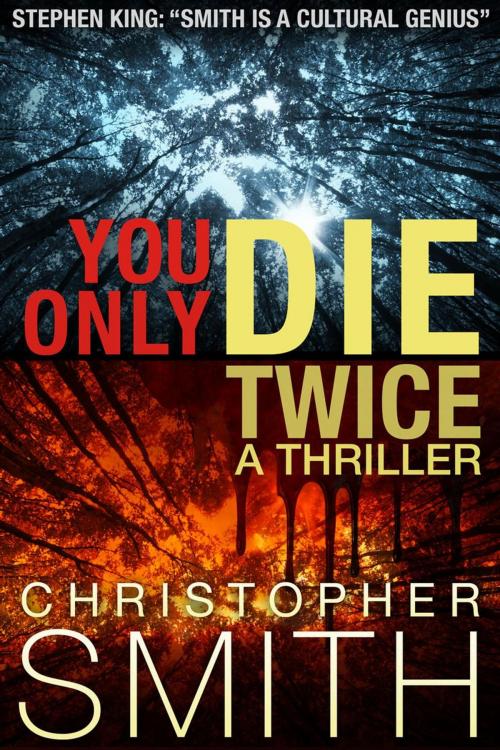 Cover of the book You Only Die Twice by Christopher Smith, 5th Avenue Productions